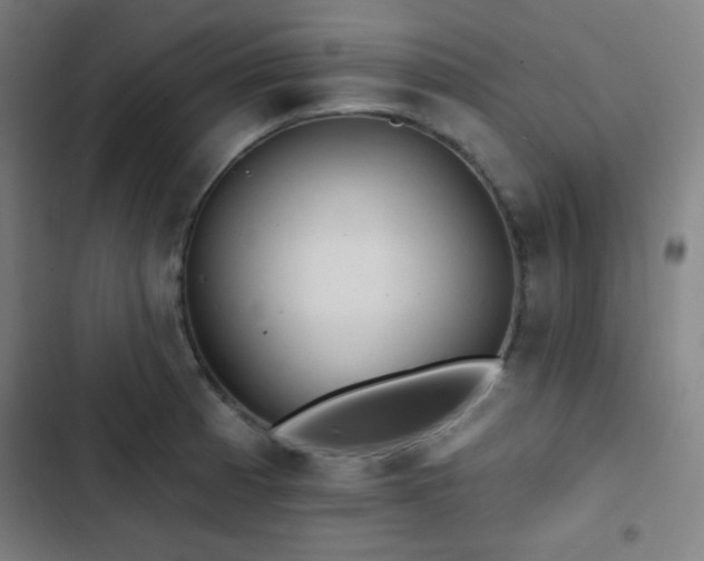 X0000103321185200809051140