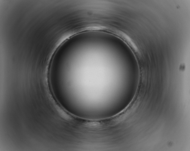 X0000103321186200809051140