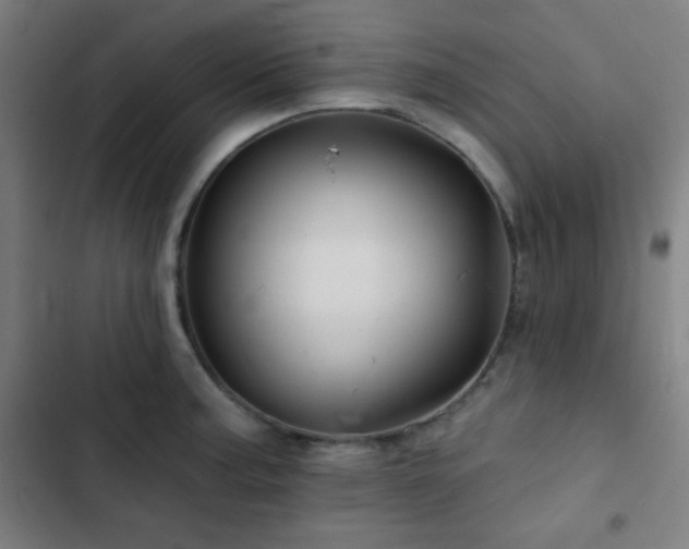 X0000103321187200809051140