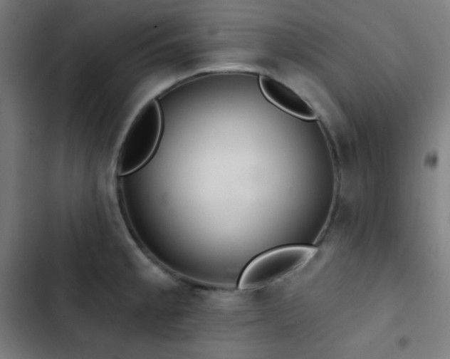 X0000103321189200809051140