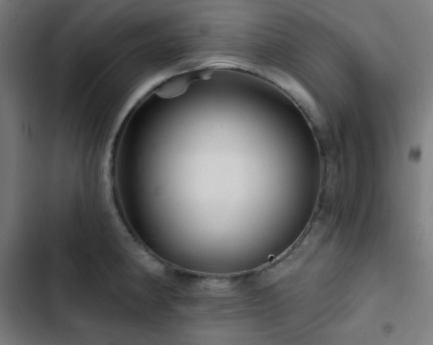 X0000103321190200809051140