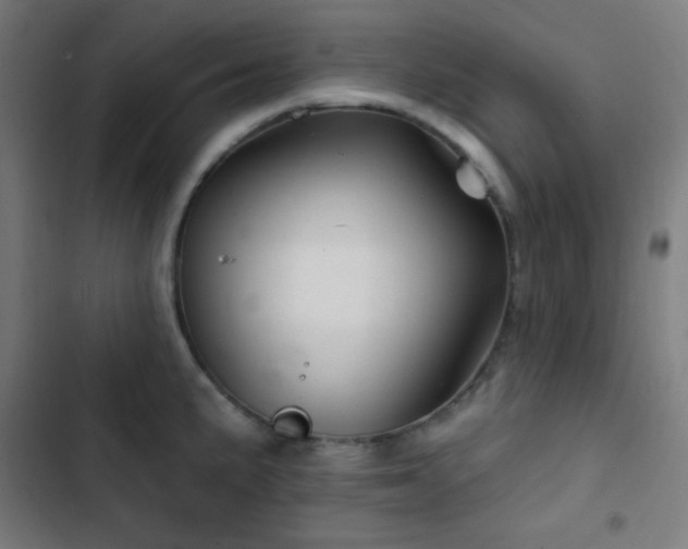 X0000103321191200809051140