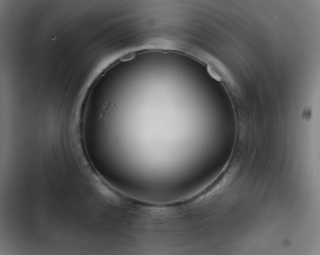 X0000103321192200809051140