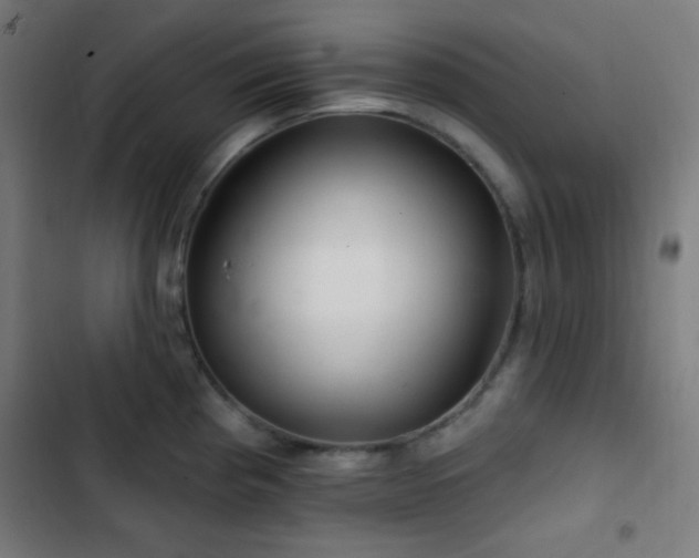X0000103321193200809051140