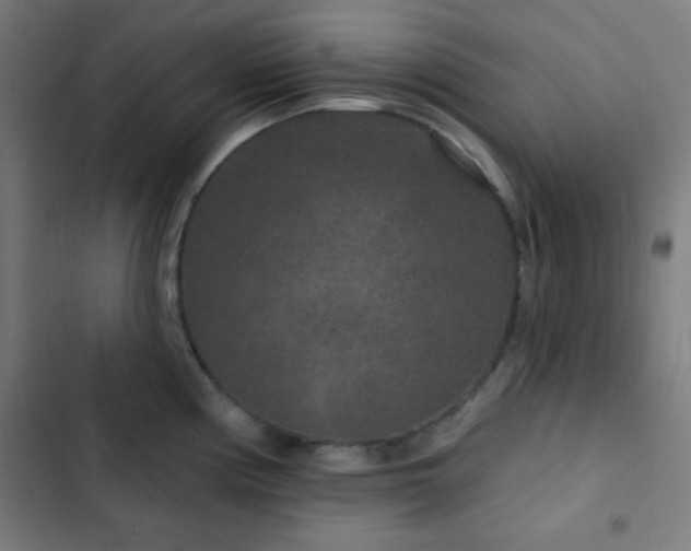 X0000103321194200809051140