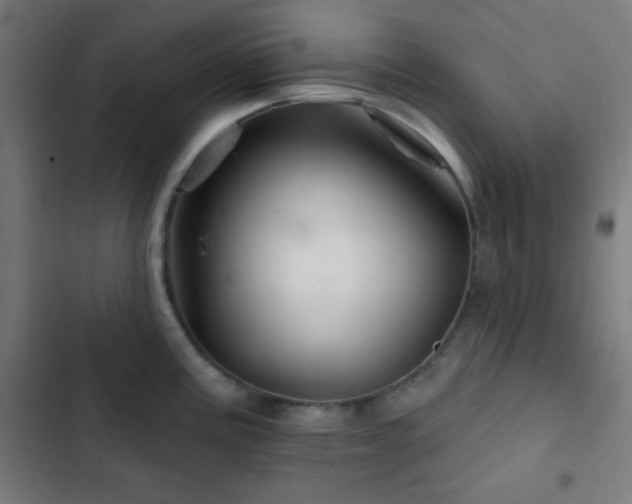 X0000103321195200809051140