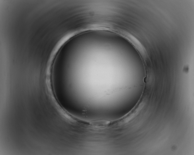 X0000103321196200809051140