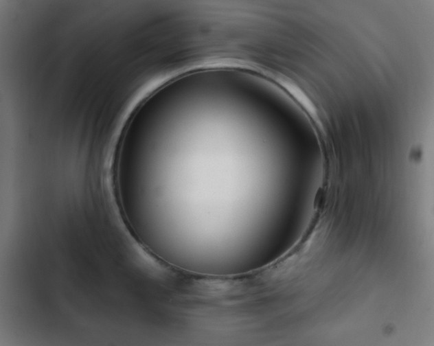 X0000103321197200809051140