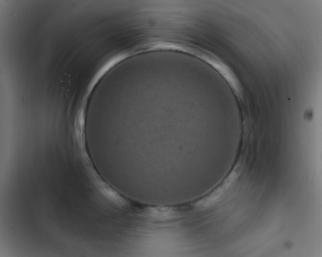 X0000103321198200809051140