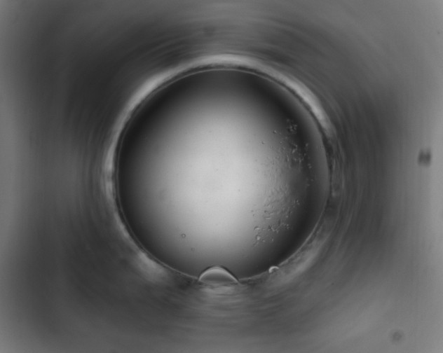 X0000103321199200809051140