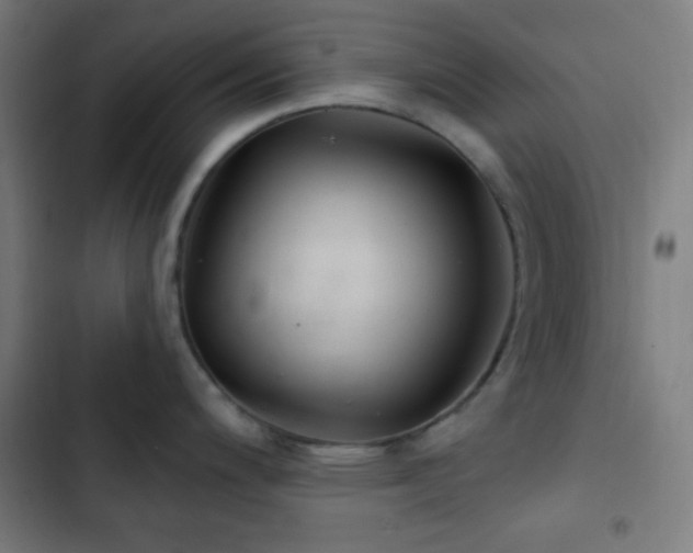 X0000103321200200809051140