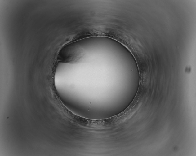 X0000103321201200809051139