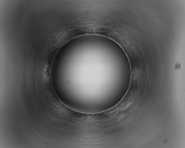 X0000103321202200809051139