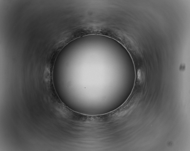 X0000103321203200809051139