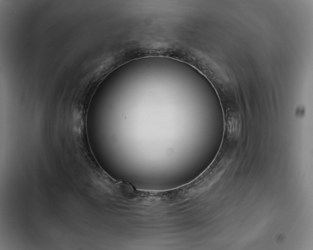 X0000103321204200809051139
