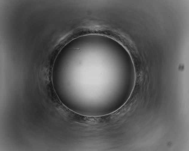 X0000103321205200809051139