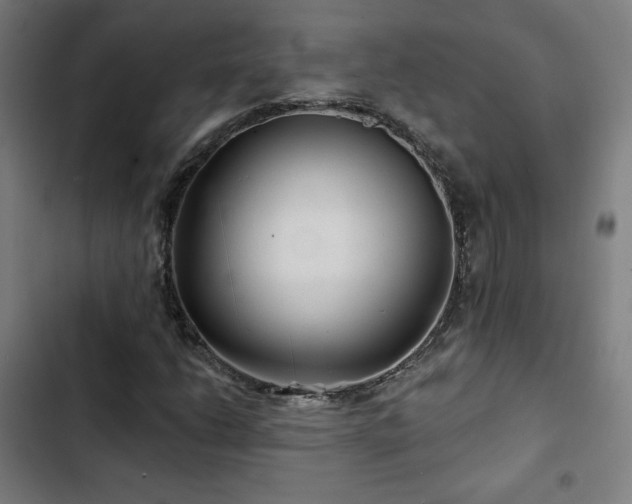 X0000103321206200809051139