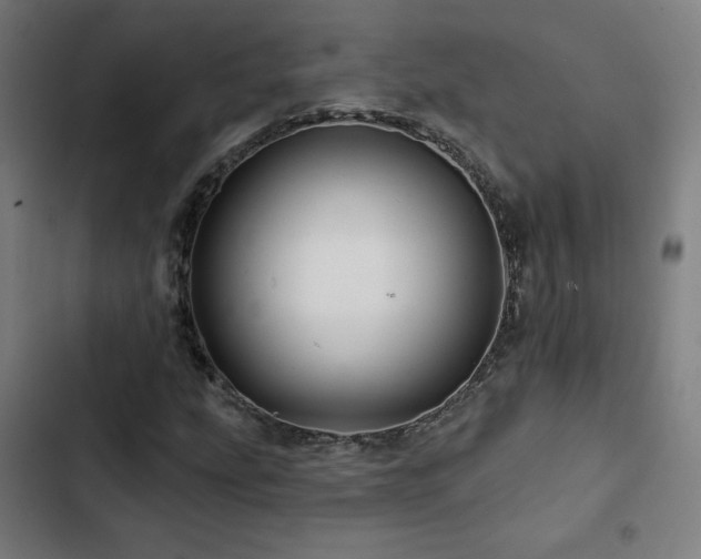 X0000103321207200809051139
