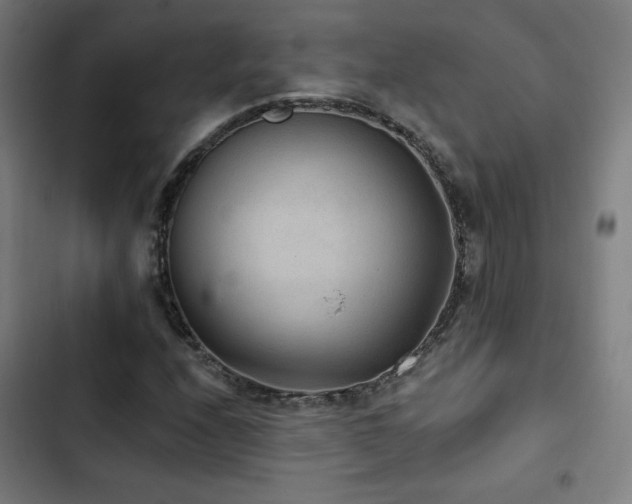 X0000103321208200809051139