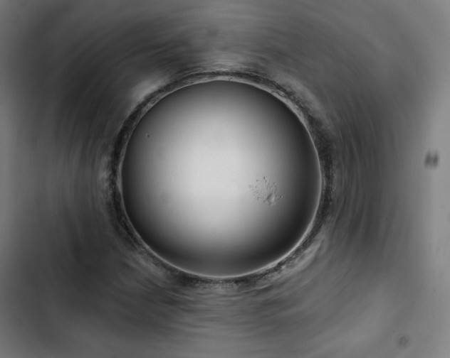 X0000103321210200809051139