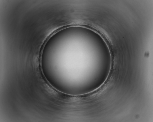 X0000103321212200809051139