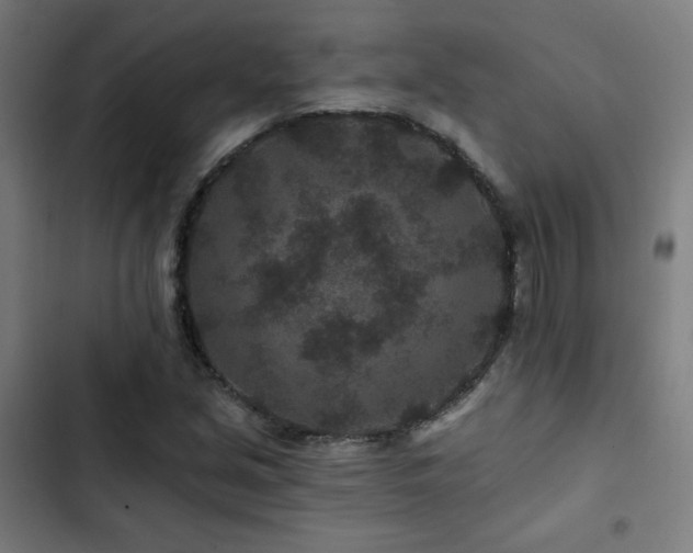 X0000103321213200809051139