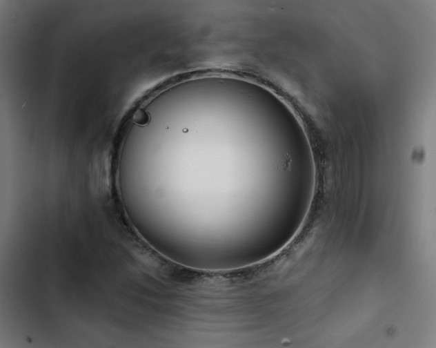 X0000103321214200809051139