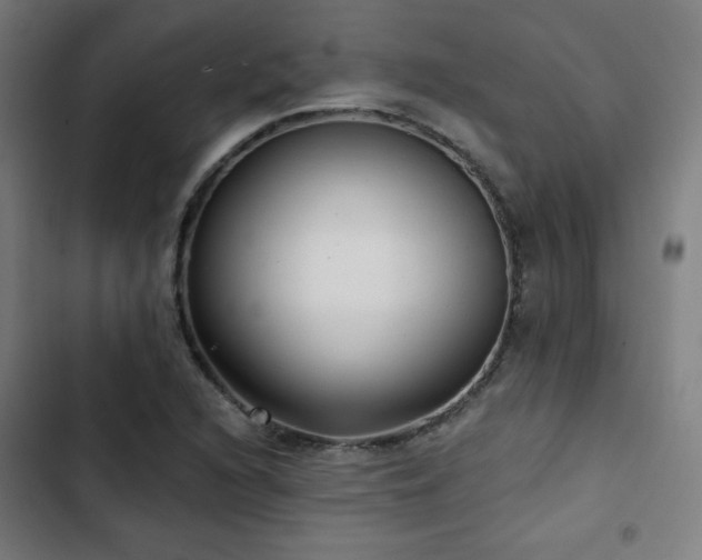 X0000103321216200809051139