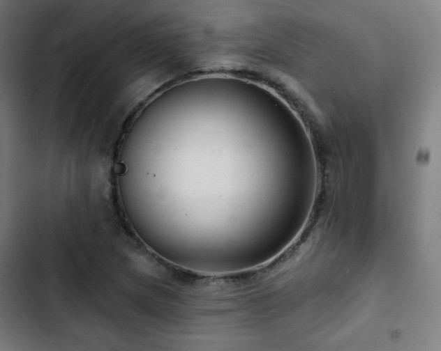X0000103321217200809051139