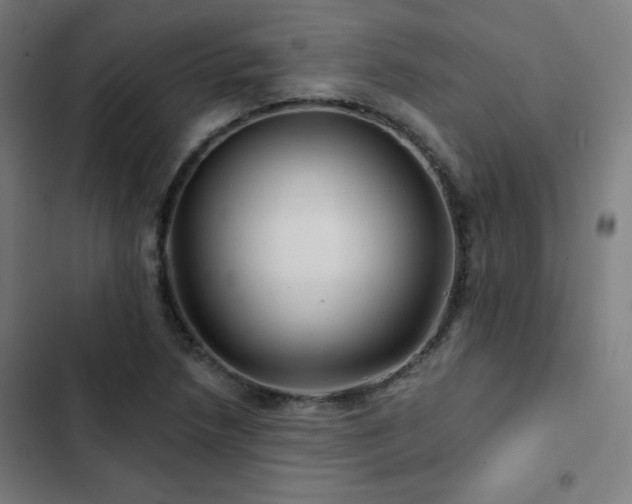 X0000103321218200809051139