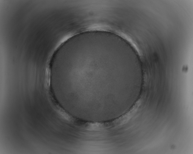 X0000103321219200809051139