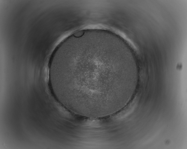X0000103321221200809051139
