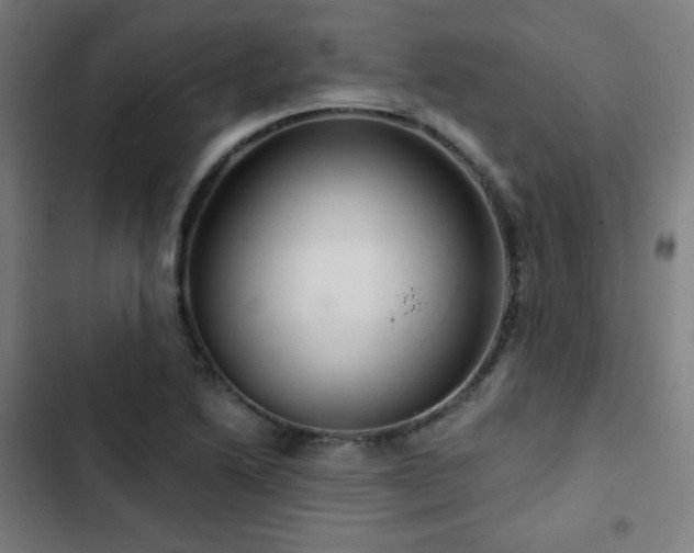 X0000103321222200809051139