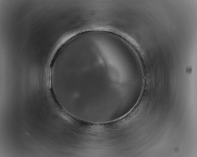 X0000103321223200809051139