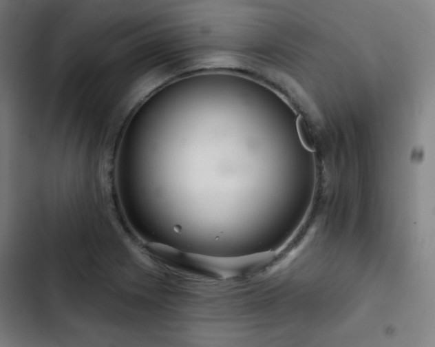 X0000103321225200809051139