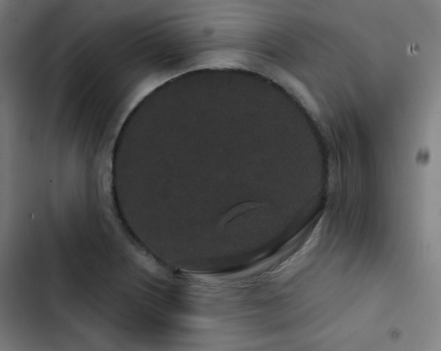 X0000103321226200809051139