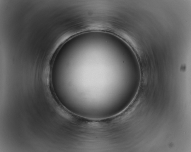 X0000103321227200809051139