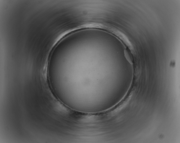 X0000103321228200809051139