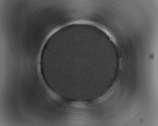 X0000103321229200809051139