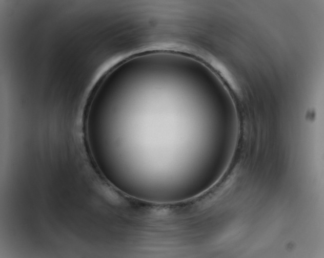 X0000103321230200809051139