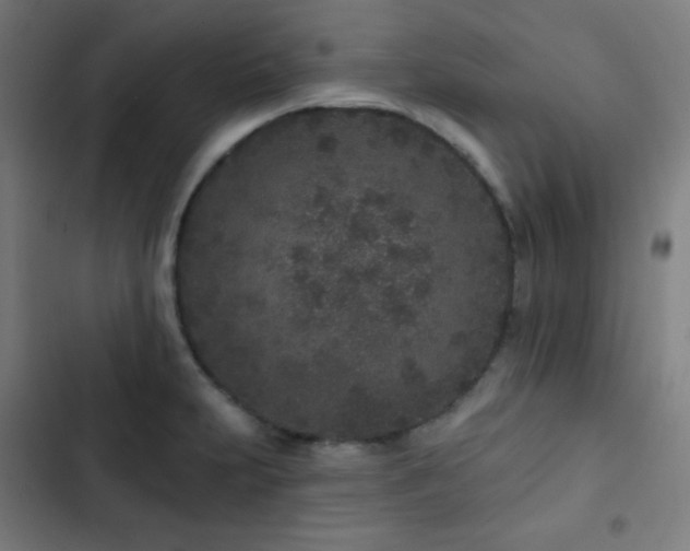 X0000103321231200809051139