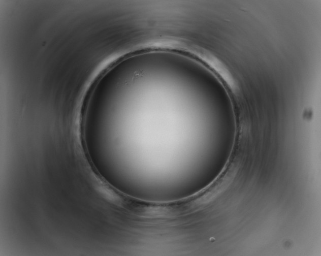 X0000103321232200809051139