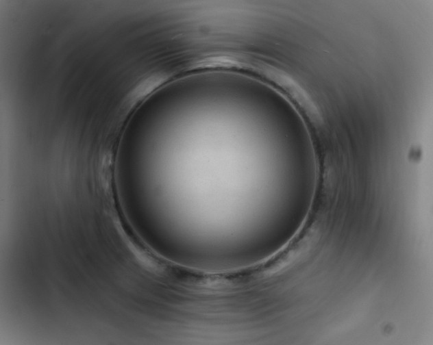 X0000103321233200809051139