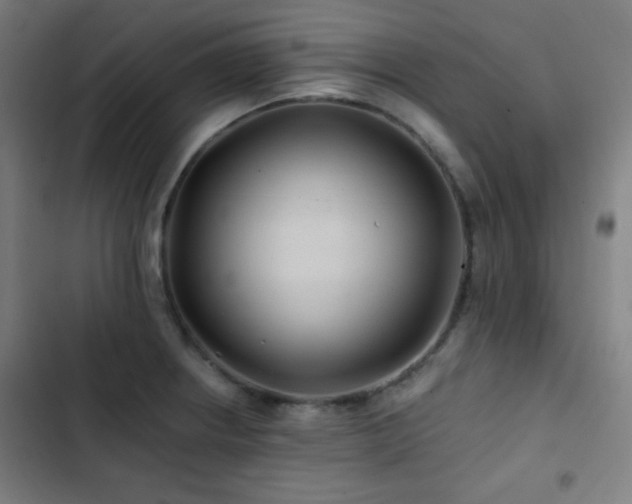 X0000103321234200809051139
