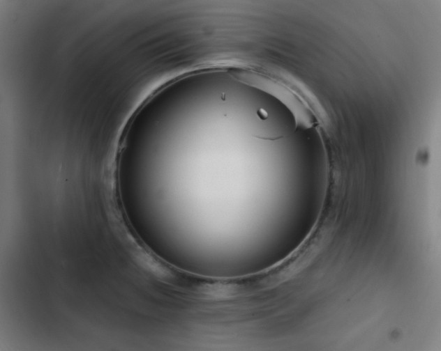 X0000103321236200809051139