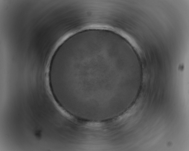 X0000103321237200809051139