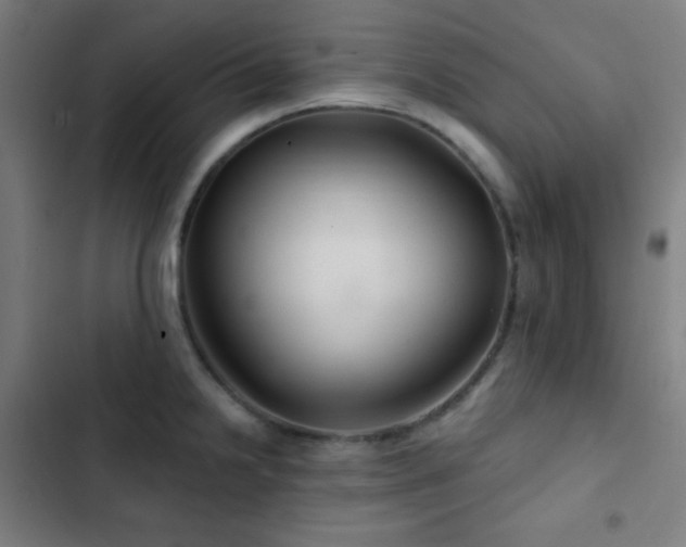 X0000103321238200809051139