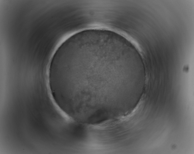 X0000103321239200809051139