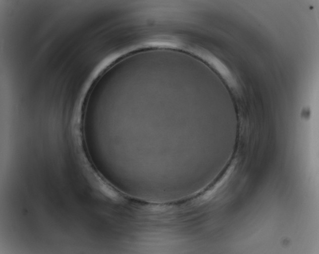 X0000103321240200809051139