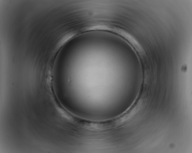 X0000103321241200809051139